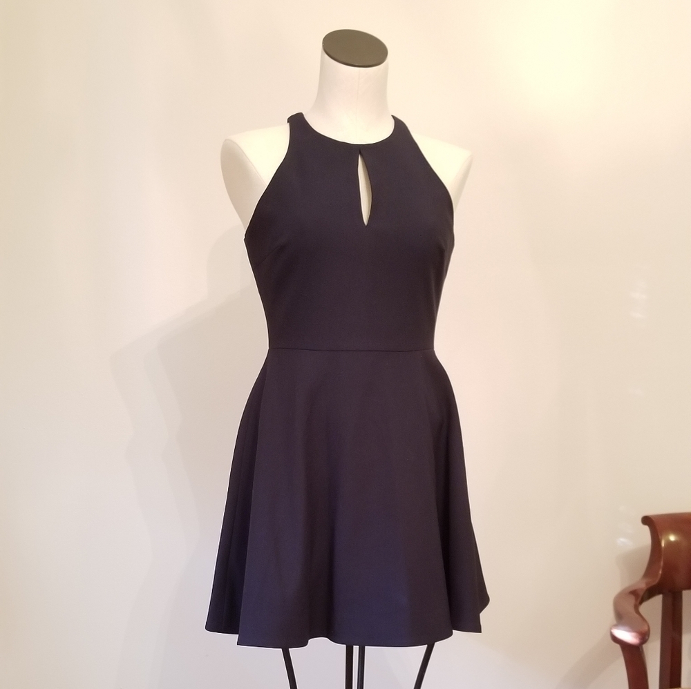 Elizabeth and James Fit & Flair Cocktail Dress